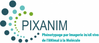Logo_PIXANIM_texte