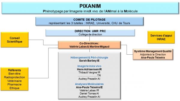 Organigramme_web_010425